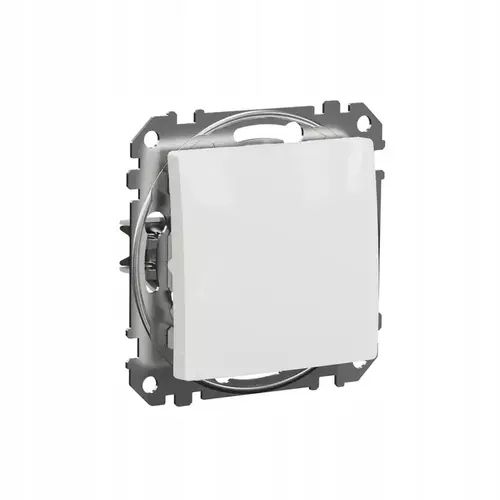 Łącznik 1-biegunowy biały IP20 Sedna Design Schneider SDD111101 1